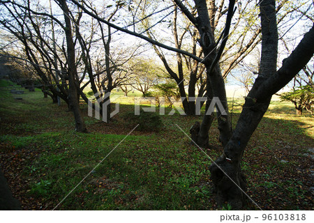 横須賀　走水水源地公園 96103818
