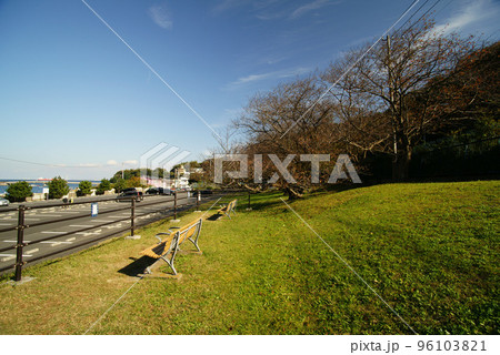 横須賀　走水水源地公園 96103821