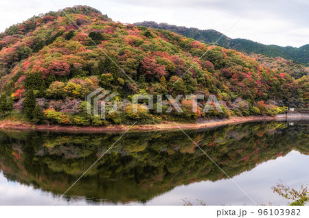 茨城県高萩市 紅葉の水沢ダム 茨城県高萩市 紅葉の水沢ダム 96103982