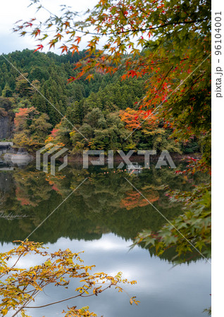 茨城県高萩市　紅葉の水沢ダム 96104001