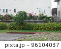 花盛り 96104037