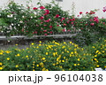 花盛り 96104038