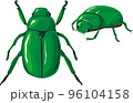 カナブン育成キット 96104158