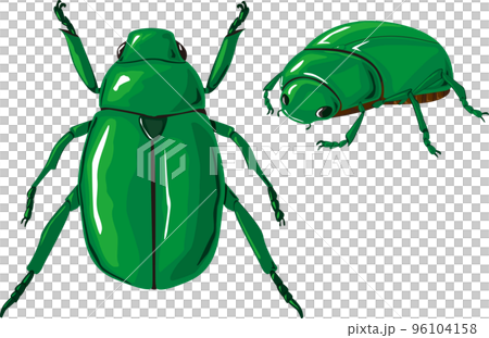 Kanabun 育種套件 Kanabun 育種套件 96104158