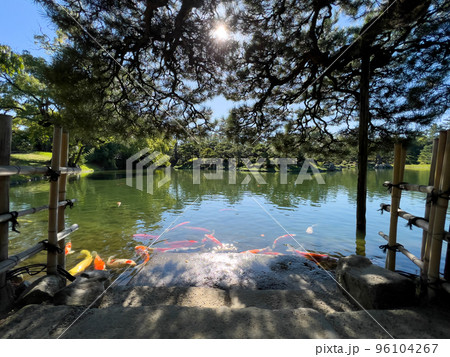 秋麗の栗林公園（10月中旬） 96104267