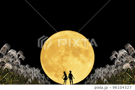 お月見をするカップルのシルエット。秋の夜のイメージ。中秋の名月とススキと若いカップル。 96104327