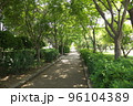小径 96104389