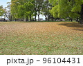 落ち葉 96104431