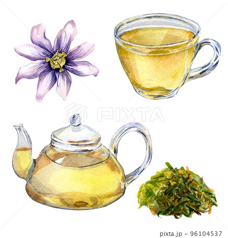 Set of glass teapot and cup, passion flower watercolor illustration isolated on white background. 96104537