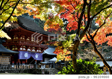 丹生都比売神社(楼門・紅葉) 【和歌山県伊都郡かつらぎ町】 丹生都比売神社(楼門・紅葉) 【和歌山県伊都郡かつらぎ町】 96104660