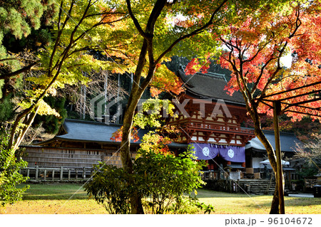 丹生都比売神社(楼門・紅葉)　【和歌山県伊都郡かつらぎ町】 96104672