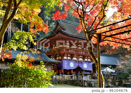 丹生都比売神社(楼門・紅葉)　【和歌山県伊都郡かつらぎ町】 96104676