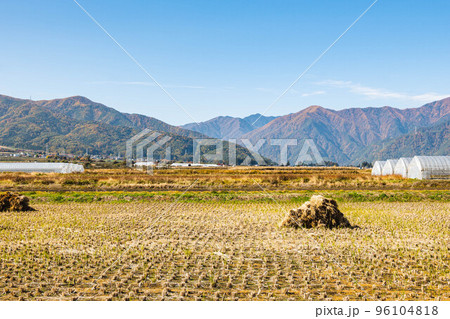 紅葉し始めた山と田園風景 紅葉し始めた山と田園風景 96104818