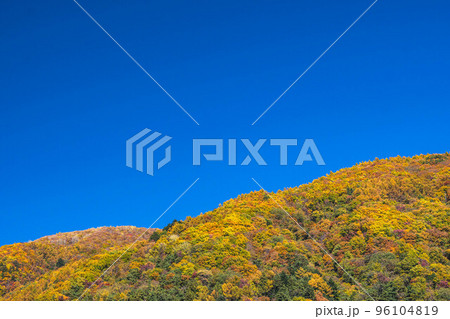 紅葉の山　松本市徳本峠 96104819