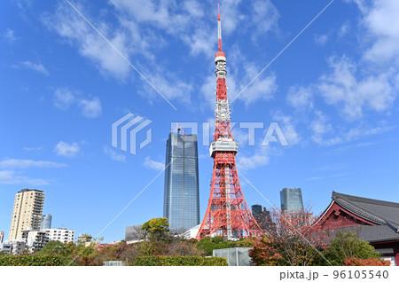 東京タワーの見える風景 東京タワーの見える風景 96105540