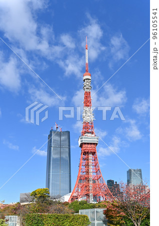 東京タワーの見える風景 東京タワーの見える風景 96105541