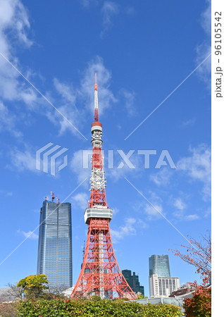 東京タワーの見える風景 東京タワーの見える風景 96105542