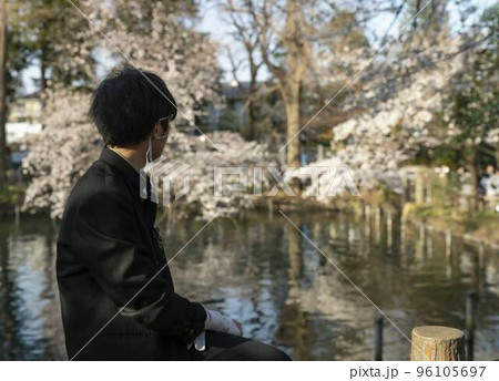 桜を見る中二病 96105697