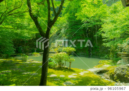 慈恩禅寺の庭園 96105967