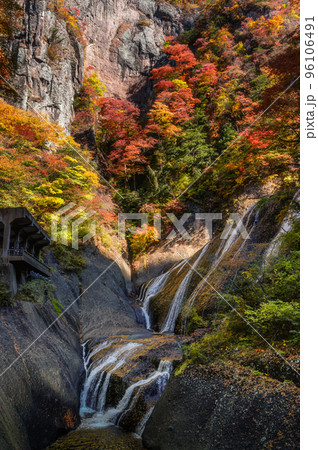 茨城県大子町　紅葉の袋田の滝 96106491