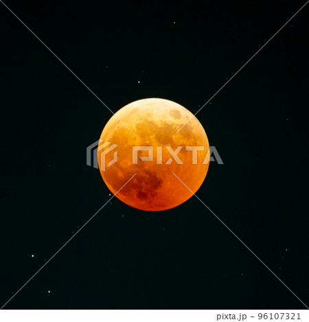 茨城県水戸市 皆既月食の夜 茨城県立歴史館のイチョウ並木のライトアップ 茨城県水戸市 皆既月食の夜 茨城県立歴史館のイチョウ並木のライトアップ 96107321