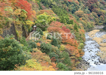 わたらせ渓谷鐵道「古路瀬付近の紅葉の中を走る列車」 96108016