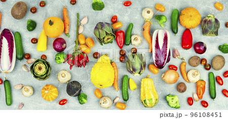 Big set of fresh vegetables, banner. 96108451