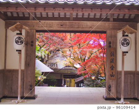 佐渡島　金山の紅葉 96109414
