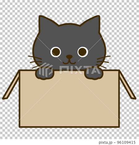 A black cat that enters a cardboard box and tells something A black cat that enters a cardboard box and tells something 96109415