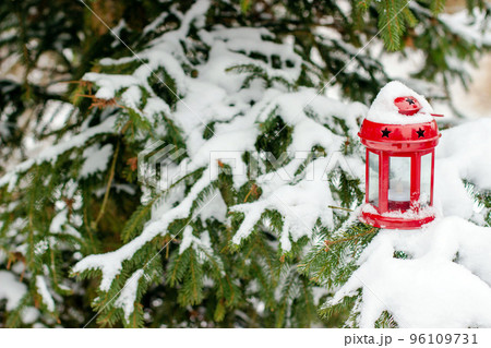 Red lantern on branches of spruce covered with snow 96109731