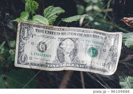Paper money. One dollar. Cash. Old dollar bill. Fiat money 96109886
