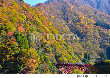 秋　黒部峡谷鉄道　新山彦橋 96109963