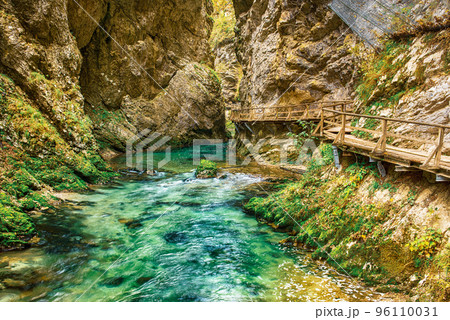 Vintgar gorge, Slovenia 96110031
