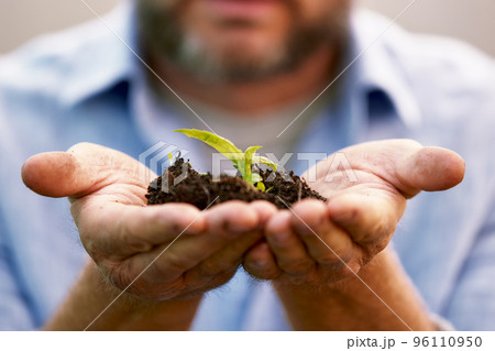 A male farmer holds a tree seedling in his hand to plant in the vegetable plot. Seedling plant sprout in soil. Concept agriculture farming A male farmer holds a tree seedling in his hand to plant in the vegetable plot. Seedling plant sprout in soil. Concept agriculture farming 96110950