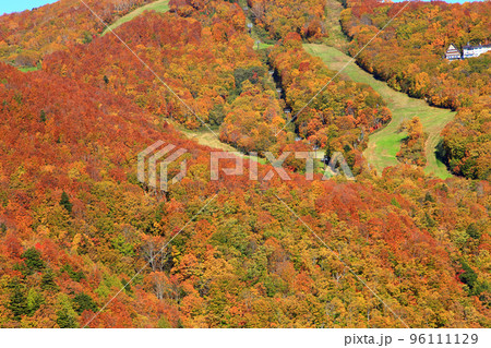 秋の志賀高原 山の駅からの眺め 秋の志賀高原 山の駅からの眺め 96111129