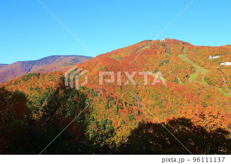 秋の志賀高原 山の駅からの眺め 秋の志賀高原 山の駅からの眺め 96111137