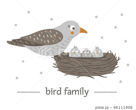 Vector hand drawn flat bird sitting on the nest with eggs. Funny woodland animal scene showing family love. Cute forest animalistic illustration for children design, print, stationery 96111906