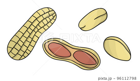Vector colored peanut icon. Set of isolated monochrome nuts. Food line drawing illustration in cartoon or doodle style isolated on white background. Vector colored peanut icon. Set of isolated monochrome nuts. Food line drawing illustration in cartoon or doodle style isolated on white background. 96112798