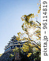 リニューアル後の岡山城 96114819
