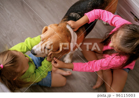 Two little sister girls play with a dog,...の写真素材 [96115003] - PIXTA