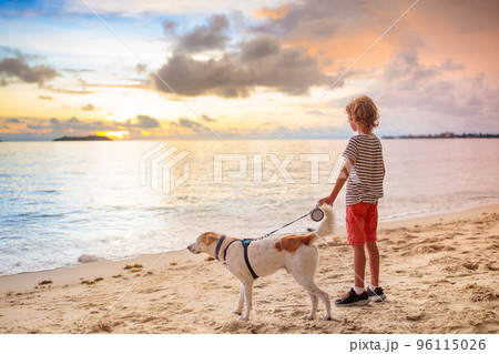 Child and dog playing on tropical beach Child and dog playing on tropical beach 96115026