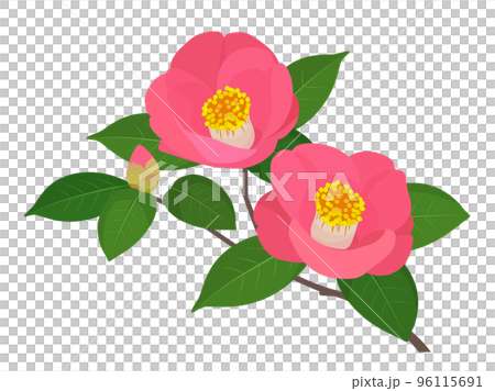 Camellia One Point_Pink 96115691