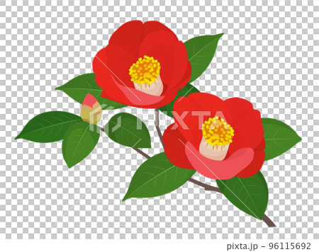 Camellia one point 96115692