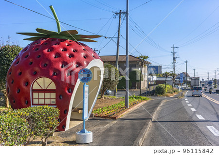 [九州・諫早] 県営バスが使用するときめきフルーツ通りのイチゴの形バス停。 96115842