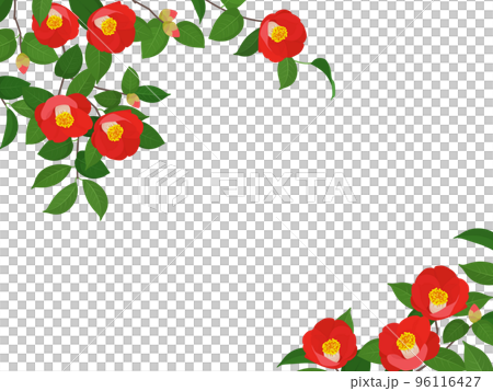 茶花框架 96116427