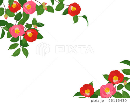 椿_フレーム 椿_フレーム 96116430