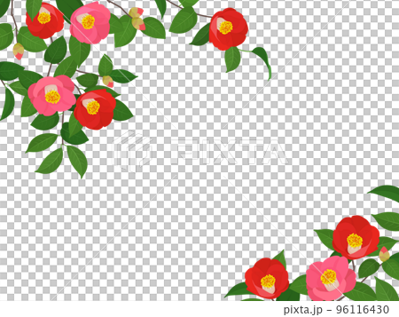 椿_フレーム 椿_フレーム 96116430