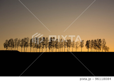 美瑛の夕景 96118084