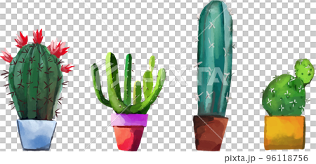 仙人掌水彩風格矢量插圖集 96118756