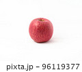 真っ赤に完熟したサンふじリンゴ（品種ふじ） 96119377